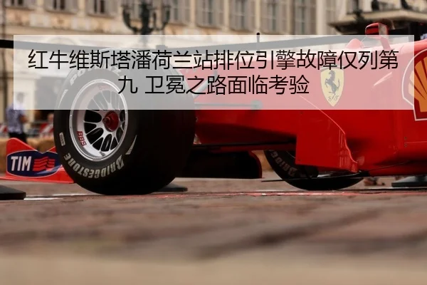 hong-niu-wei-si-ta-pan-he-lan-zhan-pai-wei-yin-qing-gu-zhang-jin-lie-di-jiu-wei-mian-zhi-lu-mian-lin-kao-yan-2-907.jpg